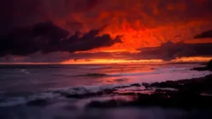 Sunset Live Wallpaper