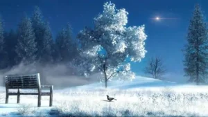 Winter 2023 Live Wallpaper
