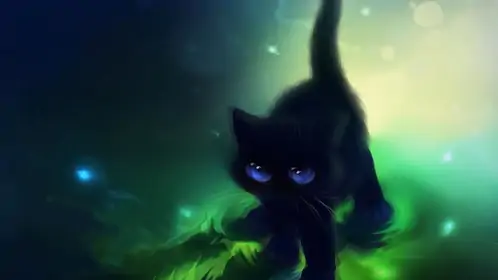 Black Kitten on water Animated Wallpaper
