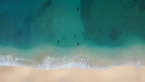 Green Jade Ocean Animated Wallpaper
